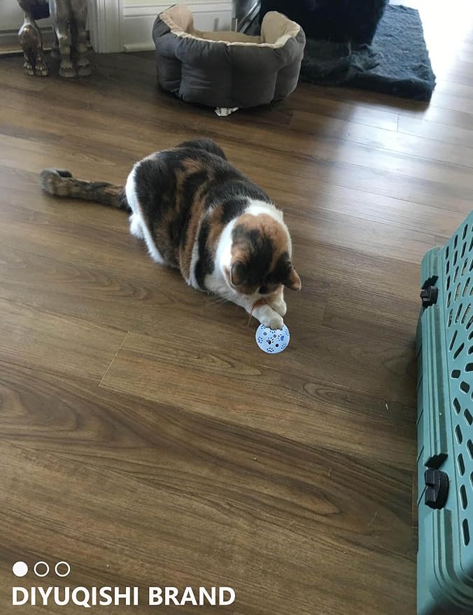 15-Pack Cat Toy Variety for Indoor Cats, Jumping for Joy (1.5'' - 3.7'', Cat Toys Mega Set)