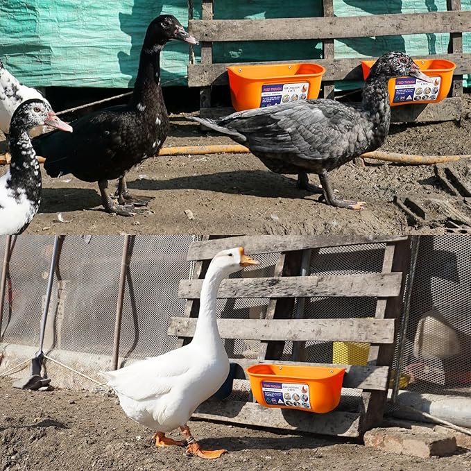 Goovilla Chicken Feeder Waterer, Hanging or Screw-in Fence Feeder with Clips, 2 Pack 5 Quart Goat Feeder Supplies, Duck Piglet Sheeple Coop Dog Livestock Poultry Plastic Feeder Trough Bucket, Orange