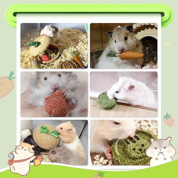 10 PCS Guinea Pig Chew Toys for Teeth, Rabbit Chew Toys Contain Natural Timothy Apple Core, Grass Cake, Carrot and Strawberry;Hamster toys for Bunny Chinchilla Gerbil Dental Care & Treat Teething