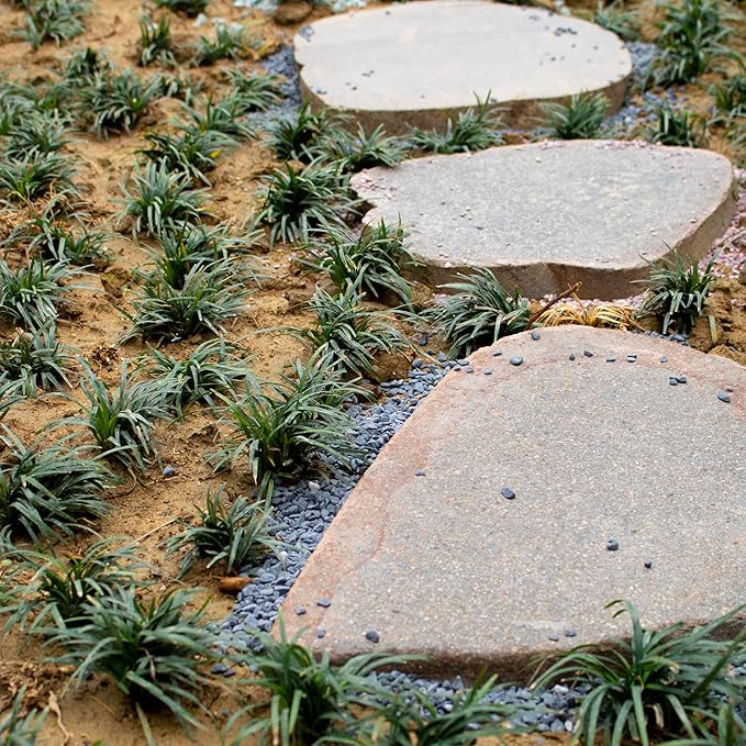 18lb Black Cactus Pea Gravel Rocks,1/4 Inch Pebbles for Indoor Plants, Natural Succulent Rock and River Rocks Decorative for Aquariums, Vases, Outdoor Gardening, Top Dressing for Potted Plants