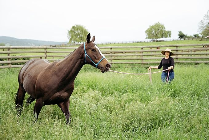 22' Long Line with SS O Ring and Carabiner (Brown Beige)