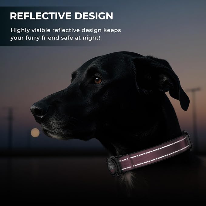 2025 Upgrade Airtag Dog Collar, Reflective Dog Collar with Airtag Holder, IP68 Waterproof| Metal Buckle| Ultra-Durable| Comfortable Padded, GPS Dog Collars for Medium Large Dogs (Pink,L)