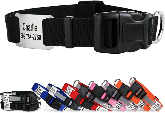 GoTags Personalized Dog Collar with Nameplate, Adjustable Dog Collar with Custom Engraved Slide On Pet ID Tag in Stainless Steel, Silent, No Noise Dog Tag for Large Medium and Small (Black, Small)