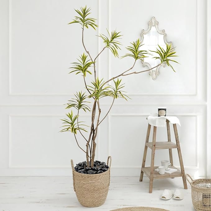 20lb Black River Rocks - 2-3 inch Polished Pebbles for Plants, Decorative Stones for Large Planters, Landscaping, Vases, Aquariums & Fish Tanks