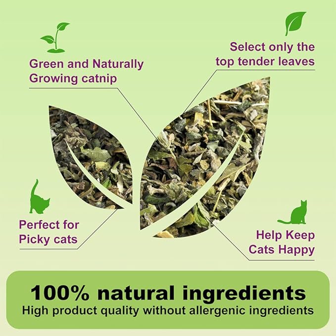 210ML Organic 100% Natural Catnip Cattle Grass Mint Taste Funny Cat Toy New Cat Toy Interactive Cat Toys Pet Supplies
