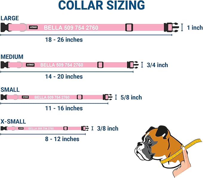GoTags Personalized Dog Collar with Nameplate, Adjustable Dog Collar with Custom Engraved Slide On Pet ID Tag in Stainless Steel, Silent, No Noise Dog Tag for Large Medium and Small (Pink, Small)