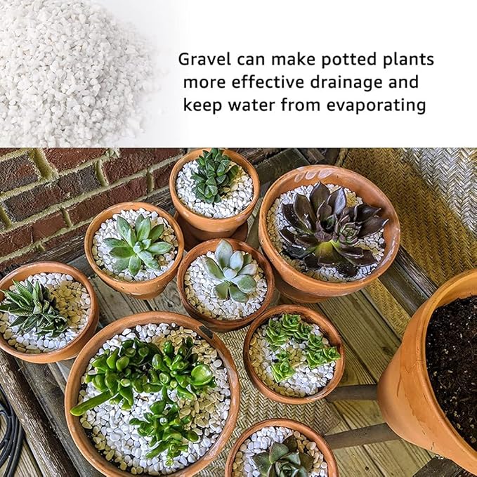 18lb White Cactus Pea Gravel Rocks,1/4 Inch Pebbles for Indoor Plants, Natural Succulent Rock and River Rocks Decorative for Aquariums, Vases, Outdoor Gardening, Top Dressing for Potted Plants