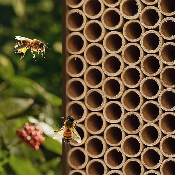 200pcs Cardboard Bee House Nesting Tubes - 6" Long X 5/16" Diameter Tube for Mason Solitary Bees - for Filling Insect Hotels and Bug Houses