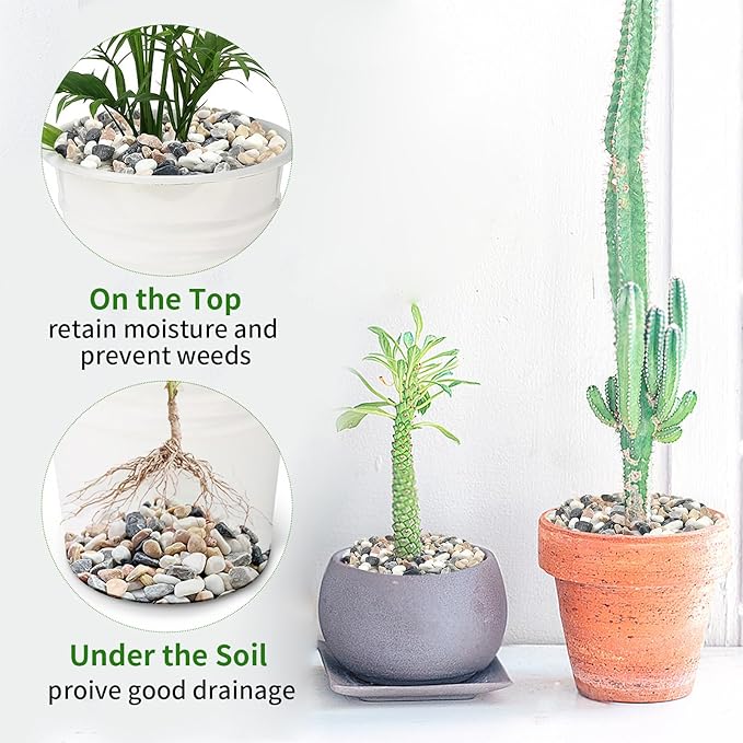 2 lbs Succulent and Cactus Pebbles Gravel, 3/8 Inch Mixed Color Decorative River Rocks for Plants Indoor, Vases, Terrarium, Potted Top Dressing and Outdoor Decorative Stones