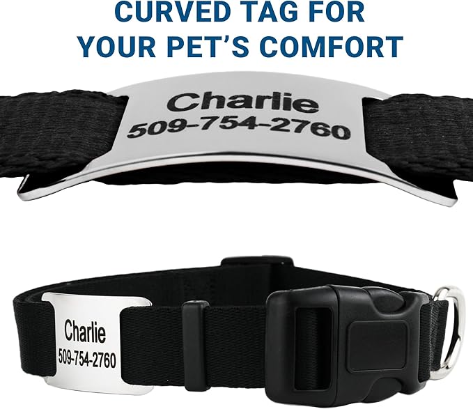 GoTags Reflective Personalized Dog Collar with Nameplate, Adjustable Dog Collar with Custom Engraved Steel Slide On Pet ID Tag, Silent, No Noise Dog Tag for Large Medium or Small (Hunter Green, Small)