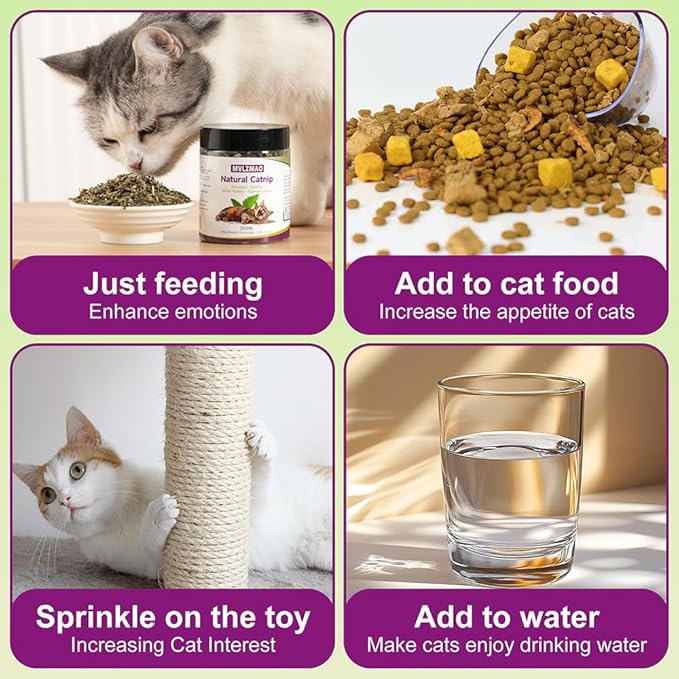 210ML Organic 100% Natural Catnip Cattle Grass Mint Taste Funny Cat Toy New Cat Toy Interactive Cat Toys Pet Supplies