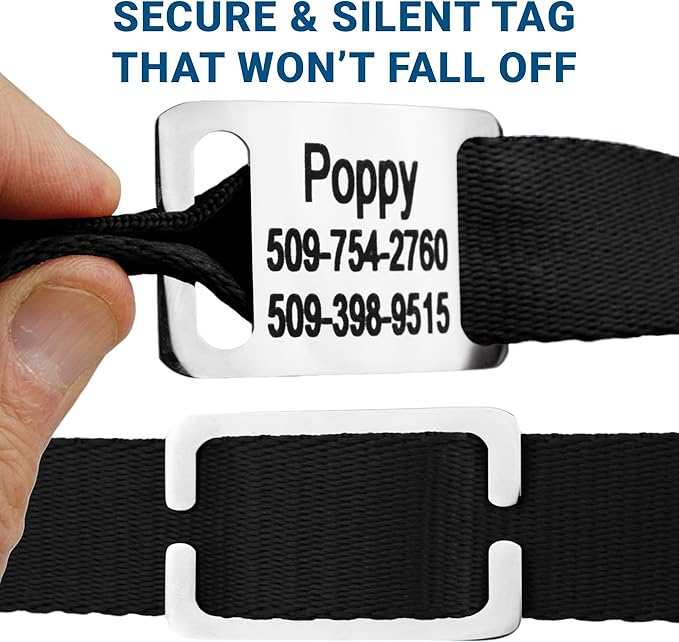 GoTags Reflective Personalized Dog Collar with Nameplate, Adjustable Dog Collar with Custom Engraved Steel Slide On Pet ID Tag, Silent, No Noise Dog Tag for Large Medium or Small (Light Blue, Large)