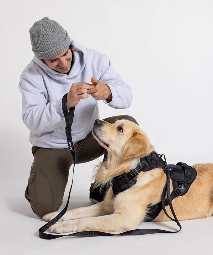 2025 New Edition, Fei & Eve MagEase Dog Harness - 3-Second Magnetic Buckles | 3-Point No-Pull Control | Heavy-Duty 900D Nylon | Dual Safety Handles | Breathable Mesh | Adjustable Fit | X-Large,Black