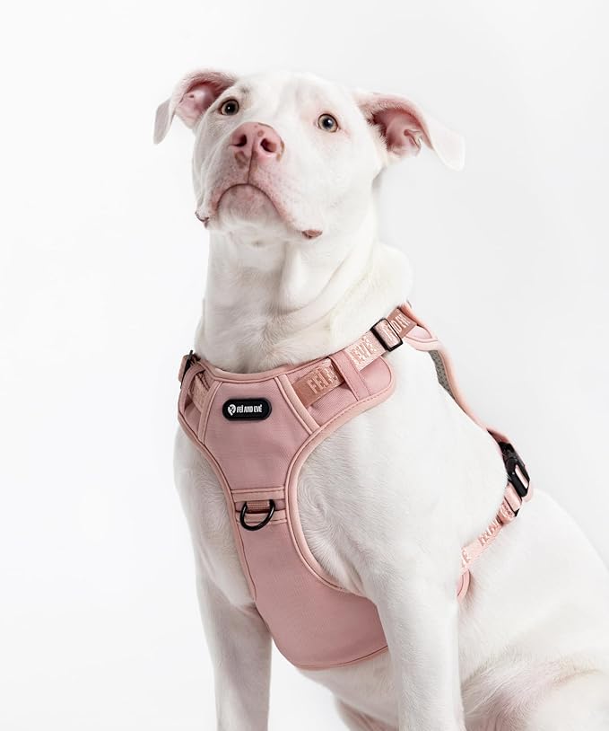 2025 New Edition, Fei & Eve MagEase Dog Harness - 3-Second Magnetic Buckles | 3-Point No-Pull Control | Heavy-Duty 900D Nylon | Dual Safety Handles | Breathable Mesh | Adjustable Fit | Small, Pink