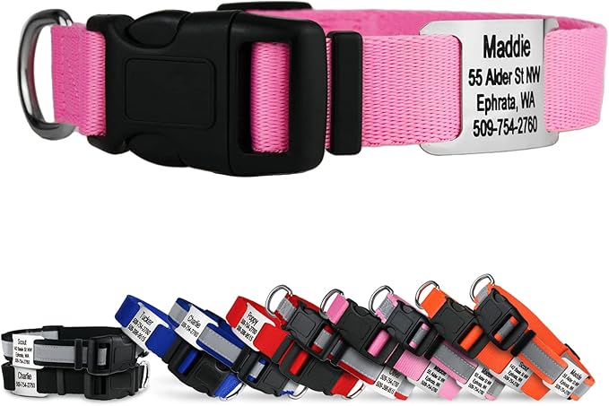 GoTags Personalized Dog Collar with Nameplate, Adjustable Dog Collar with Custom Engraved Slide On Pet ID Tag in Stainless Steel, Silent, No Noise Dog Tag for Large Medium and Small (Pink, Medium)