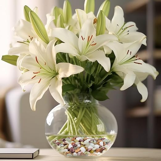 10lbs Pebbles for Indoor Plants, 3/8 Inch Small Rocks for Potted Plants, Succulents, Vase Fillers, Cactus Planters, Bird Bath, Fountain, Outdoor Garden Landscaping