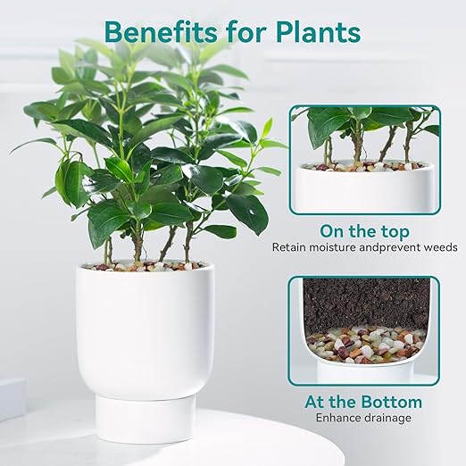 2.5lbs Pebbles for Indoor Plants, 3/8 Inch Small Rocks for Potted Plants, Succulents, Vase Fillers, Cactus Planters, Bird Bath, Fountain, Outdoor Garden Landscaping