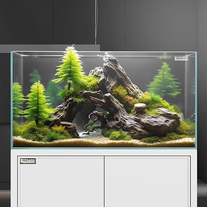 21 Gallon Rimless Aquarium Tall Tank, Ultra Clear Low Iron Big Fish Tank, L15.8×W15.8×H19.7 Glass Thickness 6mm with EVA Foam Leveling Mat