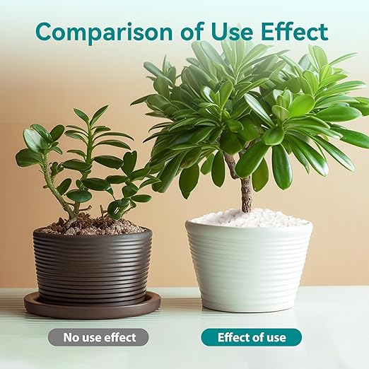 10 lbs Small White Rocks for Planters, 3/8" White Pebbles for Vases, Decorative Small Stones for Plants, Succulents, Bamboo, Terrarium, Landscape, Garden