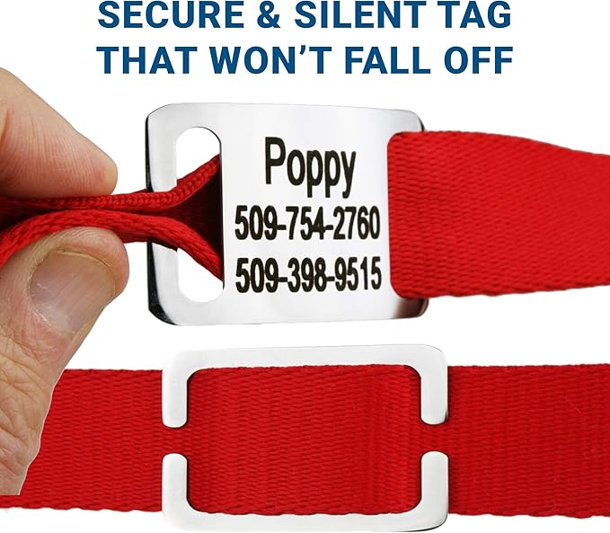 GoTags Personalized Dog Collar with Nameplate, Adjustable Dog Collar with Custom Engraved Slide On Pet ID Tag in Stainless Steel, Silent, No Noise Dog Tag for Large Medium and Small (Red, Small)