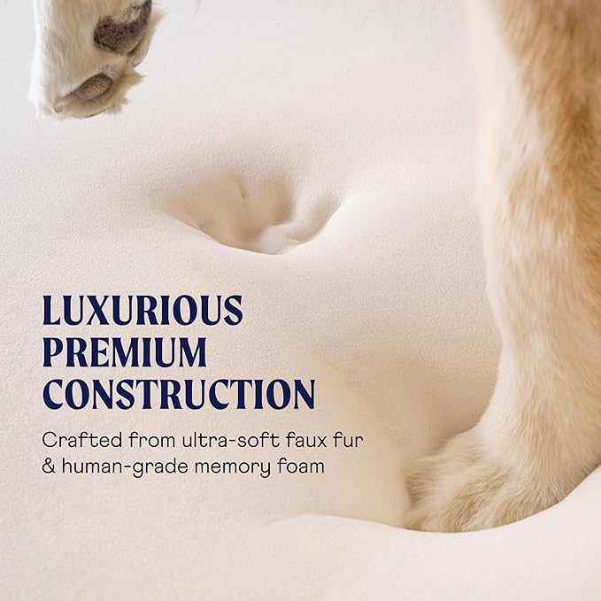 PupRug Orthopedic Dog Bed for Large Dogs with Fluffy Soft Faux Fur and Memory Foam for Joint Pain Relief, Machine Washable and Waterproof Couch Bed, White with Brown Accents, Medium