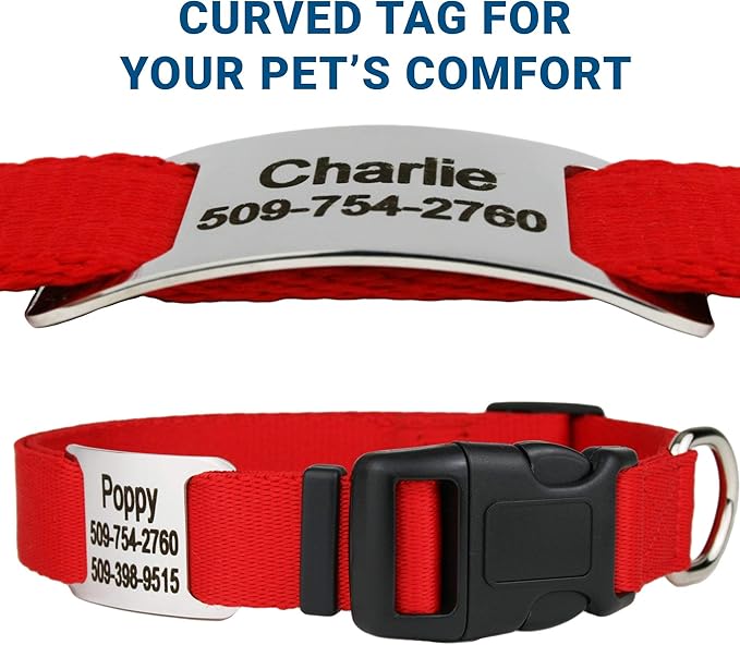 GoTags Personalized Dog Collar with Nameplate, Adjustable Dog Collar with Custom Engraved Slide On Pet ID Tag in Stainless Steel, Silent, No Noise Dog Tag for Large Medium and Small (Red, Small)
