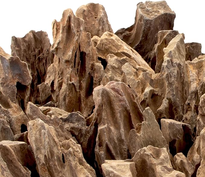 18.1 Pounds Natural Dragon Stones for Aquascaping Terrariums,Aquarium Dragon Ohko Rock (2.1 to 7.2 inch)