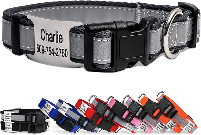 GoTags Reflective Personalized Dog Collar with Nameplate, Adjustable Dog Collar with Custom Engraved Steel Slide On Pet ID Tag, Silent, No Noise Dog Tag for Large Medium or Small (Charcoal, Large)