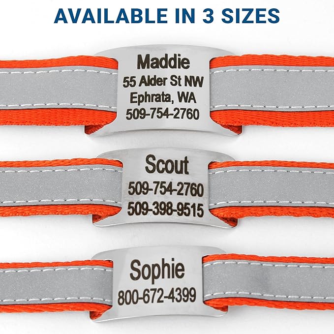 GoTags Reflective Personalized Dog Collar with Nameplate, Adjustable Dog Collar with Custom Engraved Steel Slide On Pet ID Tag, Silent, No Noise Dog Tag for Large Medium or Small (Orange, Large)