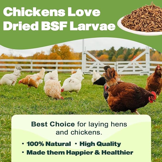 20LB Dried Black Soldier Fly Larvae, 86X Calcium Than Dried Mealworms, High Protein Non-GMO Organic Chicken Feed
