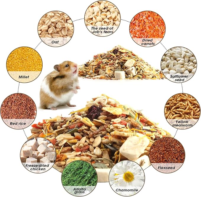 Gourmet Hamster & Gerbil Food, Dry Food for Hamsters-Supports Healthy Digestion and Healthy Teeth Unique Edible Treats for Guinea Pigs, Hamsters, Gerbils
