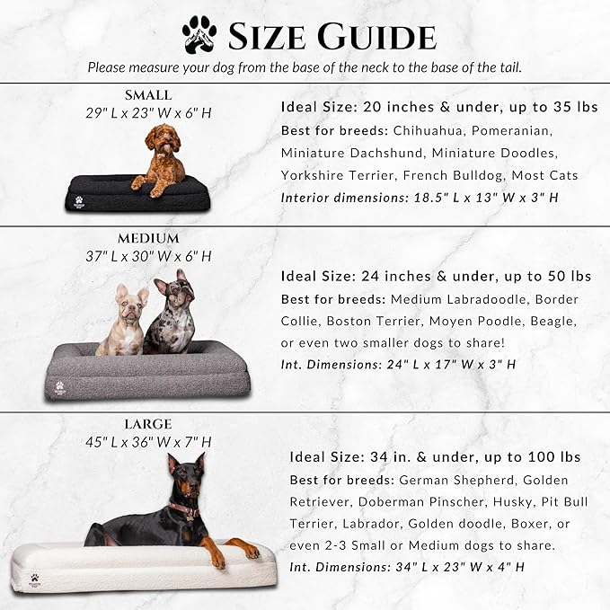 Luxury Boucle Fabric Orthopedic Dog Bed with Memory Foam | Breathable Comfort & Washable Dog Couch Bed with Waterproof Liner & Cover | Ideal Pet Beds for Small Dogs - Charcoal (29"x23"x6")