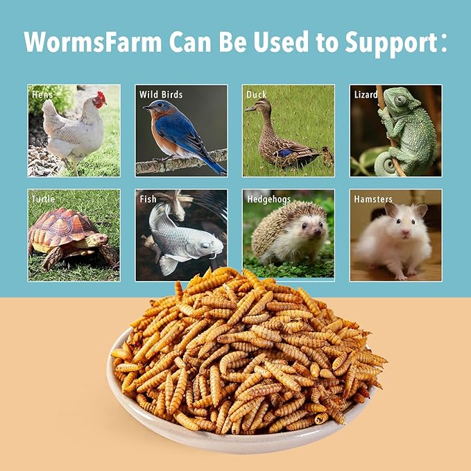 10lb Dried Black Soldier Fly Larvae Treat for Chickens More Calcium Than Mealworms,for Laying Hen,Wild Birds(10 Pound)