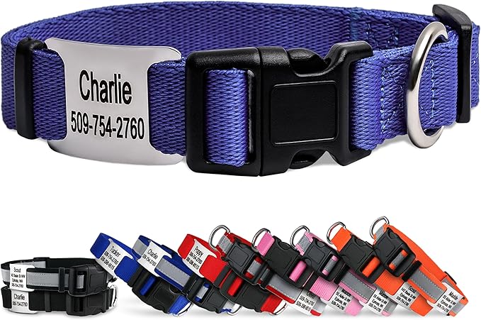 GoTags Personalized Dog Collar with Nameplate, Adjustable Dog Collar with Custom Engraved Slide On Pet ID Tag in Stainless Steel, Silent, No Noise Dog Tag (Lavender, Medium)