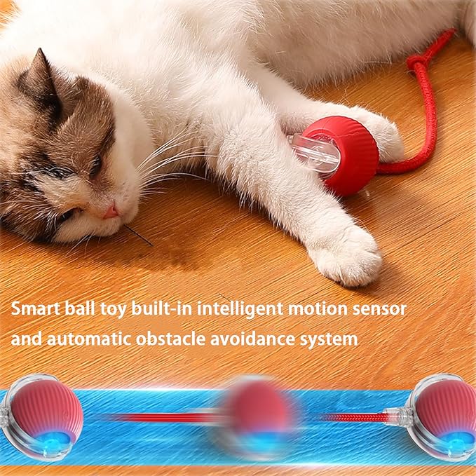2 Packs Interactive Cat Toy Ball for Indoor Cats - 3-Speed Smart Rolling Ball with Flashing Lights, USB Rechargeable Automatic Motion Kitten Toys for Bored Adult Cats & Playful Kittens