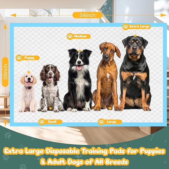 100 Count Extra Large Dog Pee Pads 28" x 34", Super Absorbent X-Large Puppy Pads Disposable Training Pads for Dogs, Quick Drying Leak-Proof Dog Potty Pads for Doggies Puppies