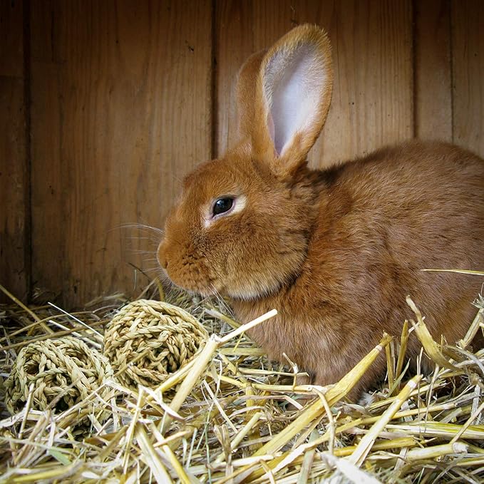 10 Pcs Small Animals Play Balls Rolling Activity Chew Toys Gnawing Treats for Rabbits Guinea Pigs Chinchilla Bunny Natural Balls, Pet Cage Entertainment Accessories(10Pcs)