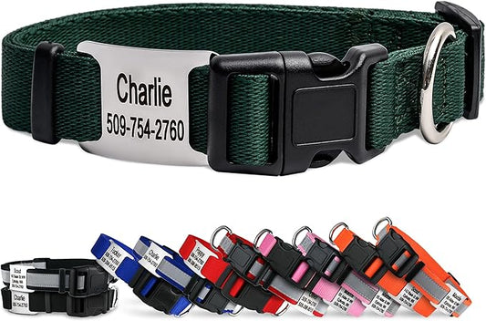GoTags Personalized Dog Collar with Nameplate, Adjustable Dog Collar with Custom Engraved Slide On Pet ID Tag in Stainless Steel, Silent, No Noise Dog Tag (Hunter Green, Large)