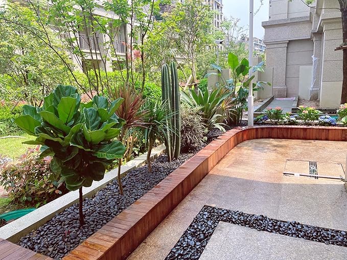 20 lbs Decorative Black River Rocks for Plants, 1-2 inch Natural Black Pebbles for Indoor Plants, Plant Rocks, Rocks for Outdoor Landscaping, Vase, Decorative Stones and Garden Rocks